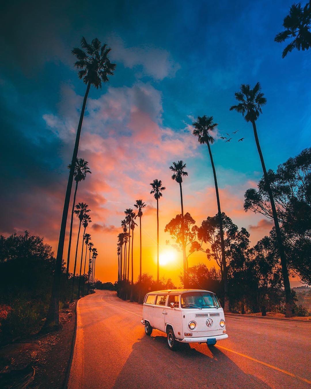 Enchanting Views Of California