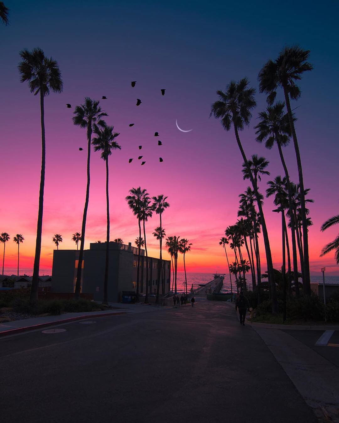 Enchanting Views Of California