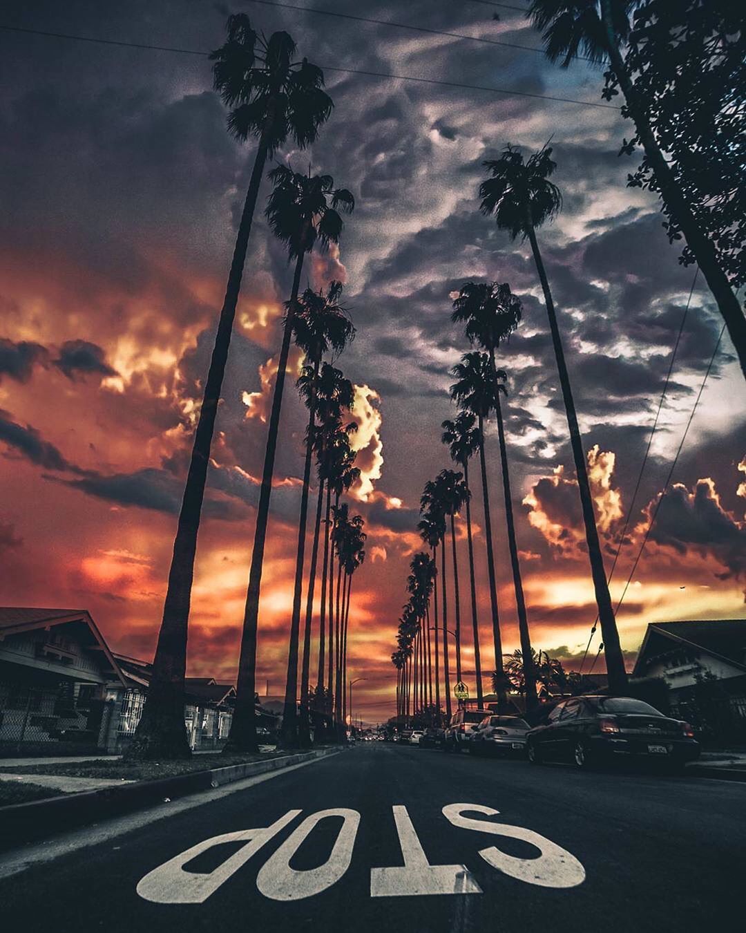 Enchanting Views Of California