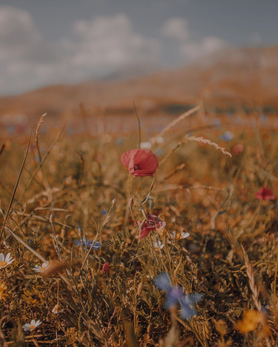 Exotic Locations Of Castelluccio Di Norcia