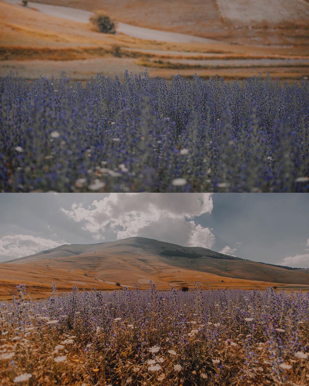 Exotic Locations Of Castelluccio Di Norcia
