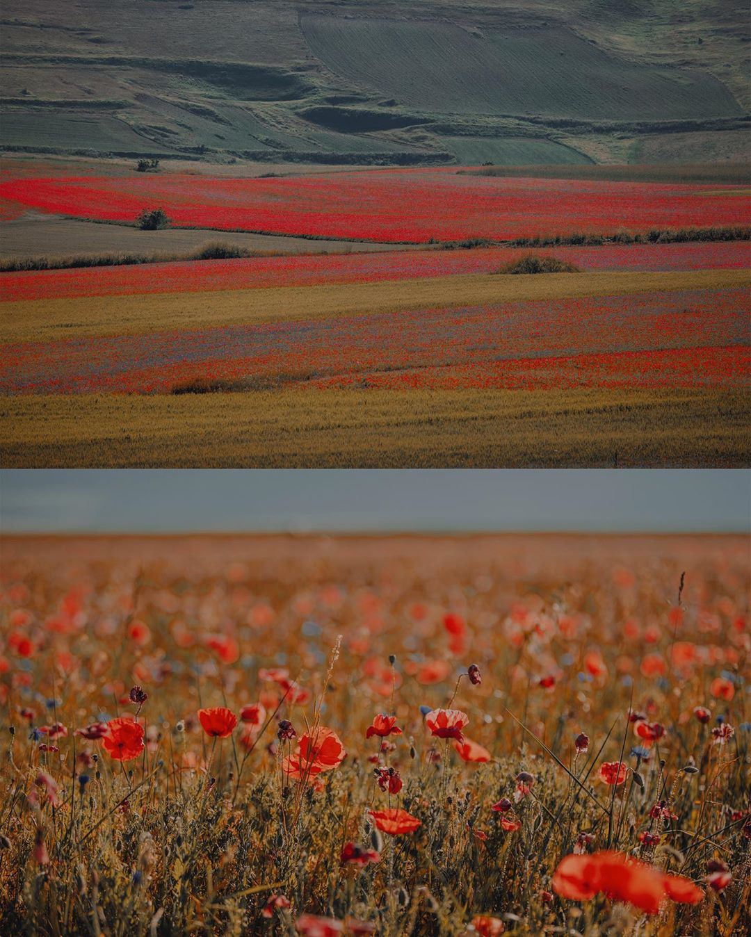 Exotic Locations Of Castelluccio Di Norcia