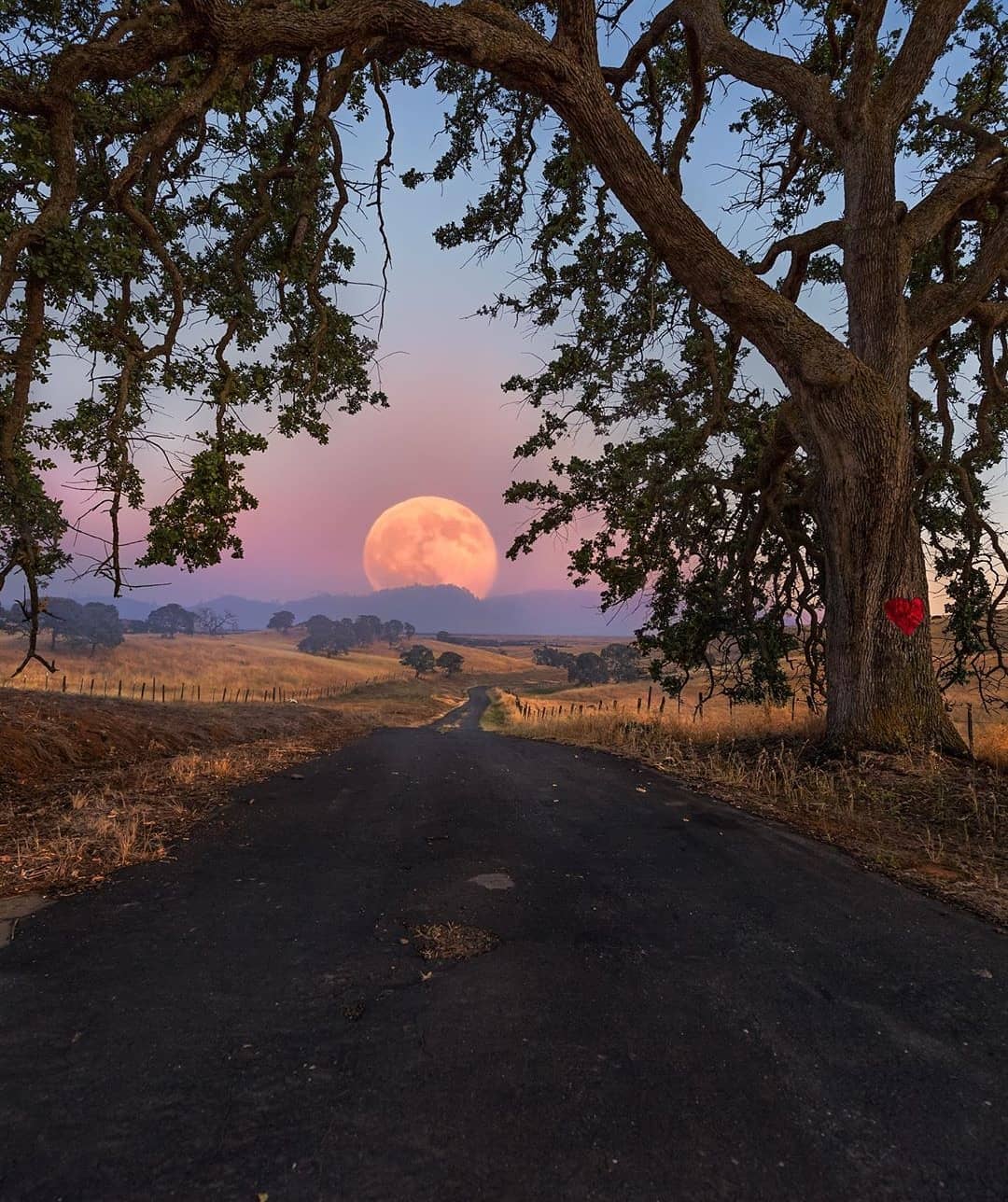 Nature At Its Best