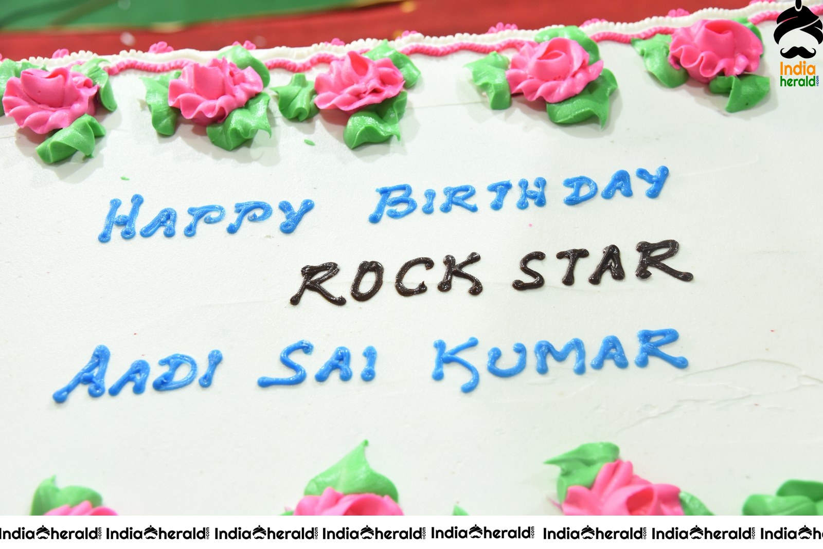 Actor Aadi Sai Kumar Birthday Celebration Stills