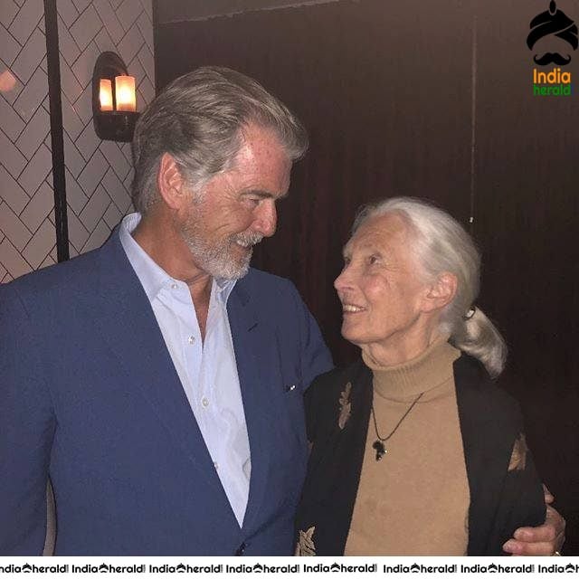 Actor Pierce Brosnan Rare Photos Collection Set 1