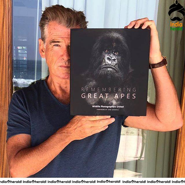 Actor Pierce Brosnan Rare Photos Collection Set 2