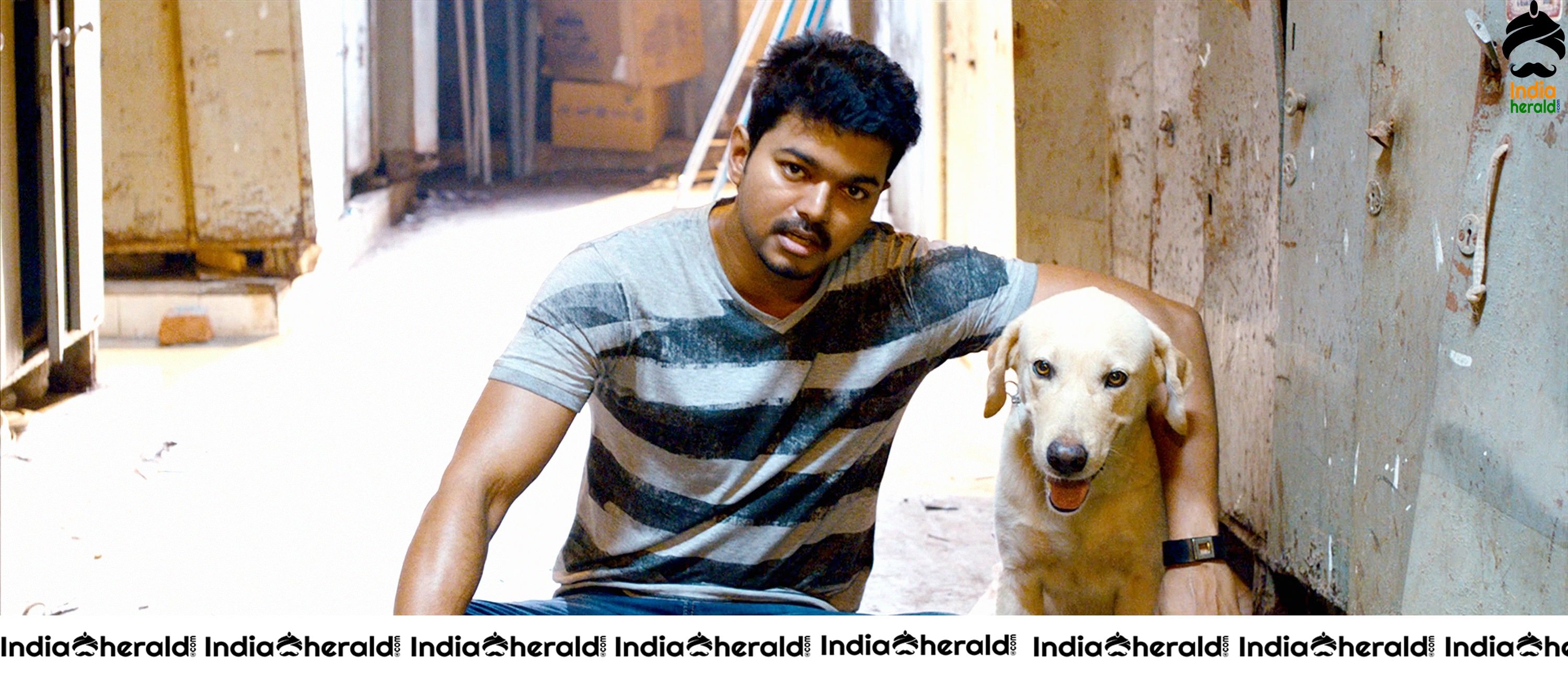 Actor Vijay Rare and Unseen HD Stills from Thuppakki Set 6