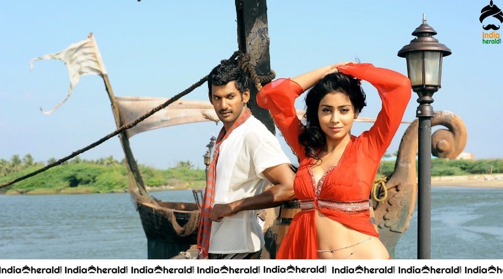 Actor Vishal Unseen Photos with Shreya Set 1