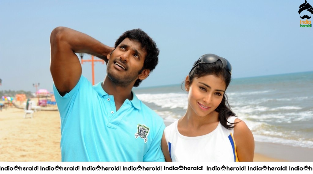 Actor Vishal Unseen Photos with Shreya Set 2