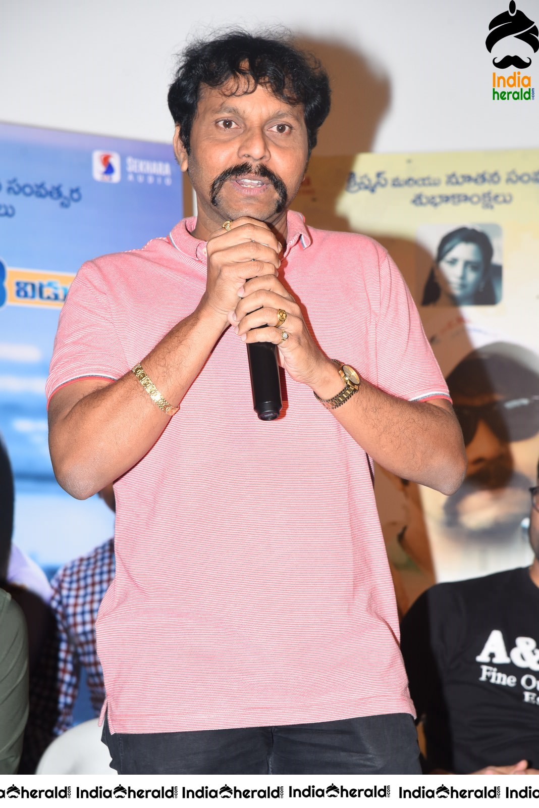 Actors Speech at Software Sudheer Success Meet Set 2