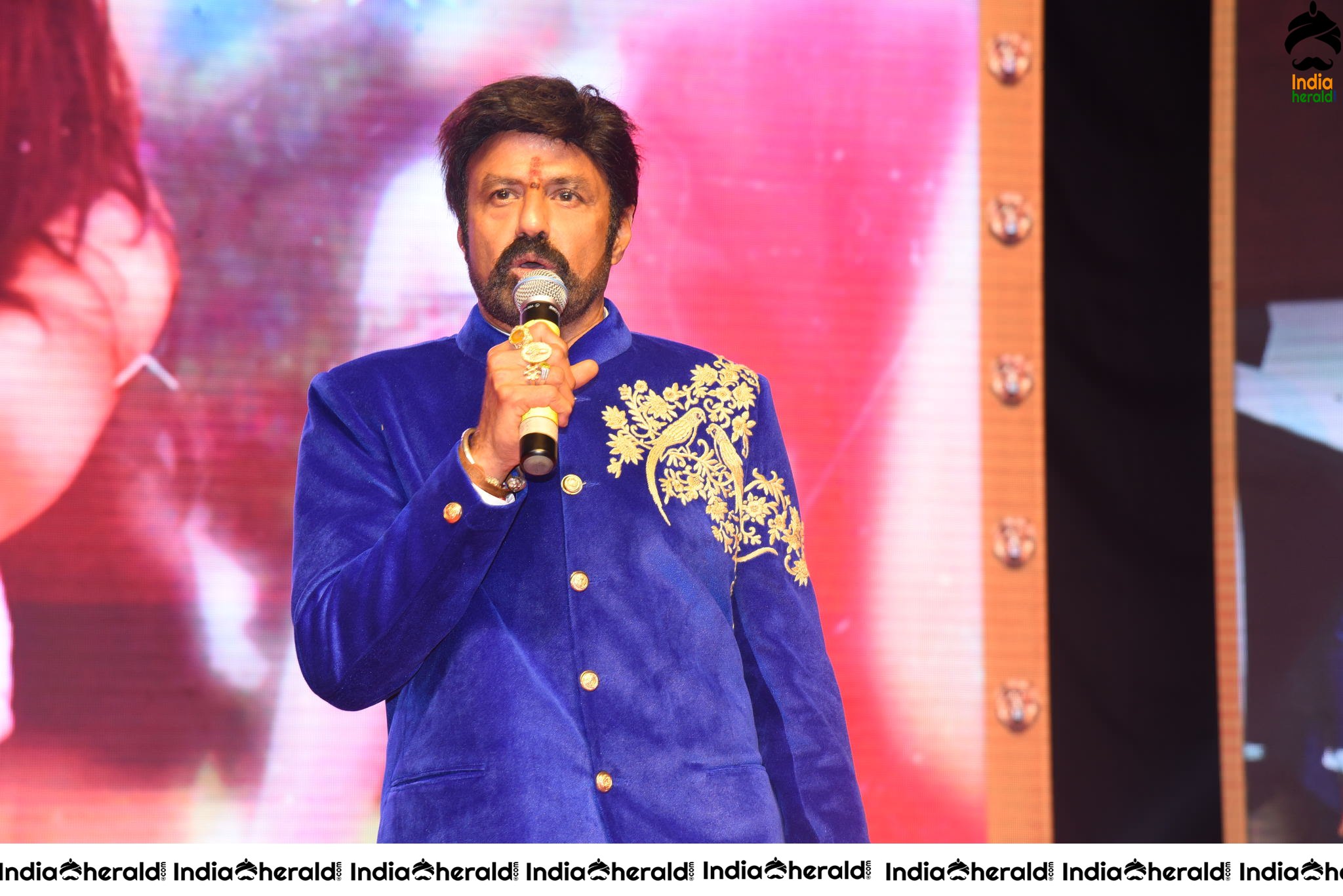 Balayya Powerful Speech Stills Set 1