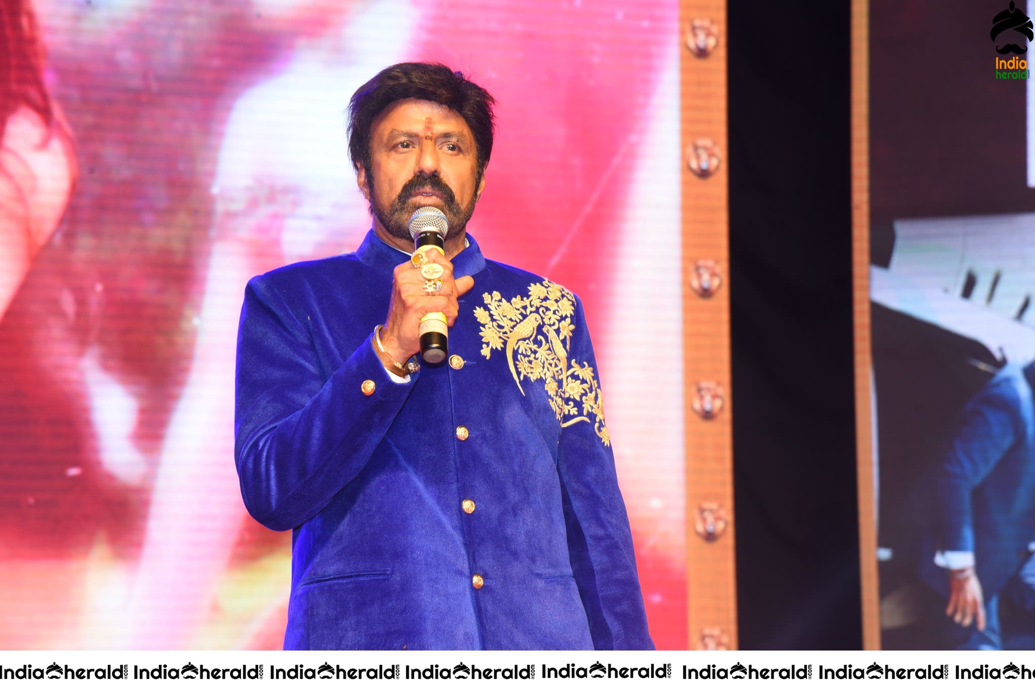 Balayya Powerful Speech Stills Set 1