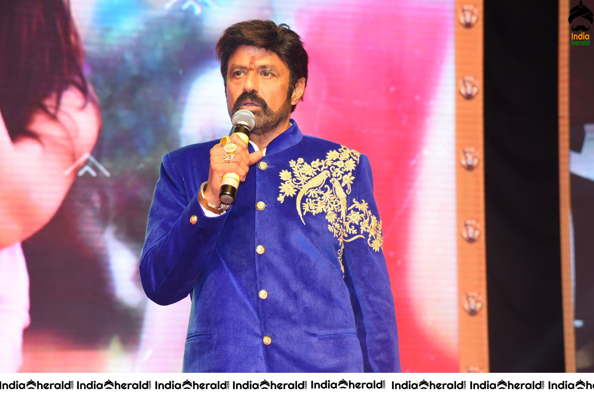 Balayya Powerful Speech Stills Set 1