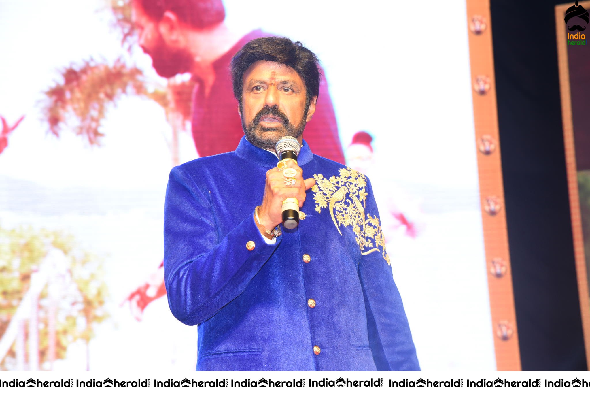 Balayya Powerful Speech Stills Set 2