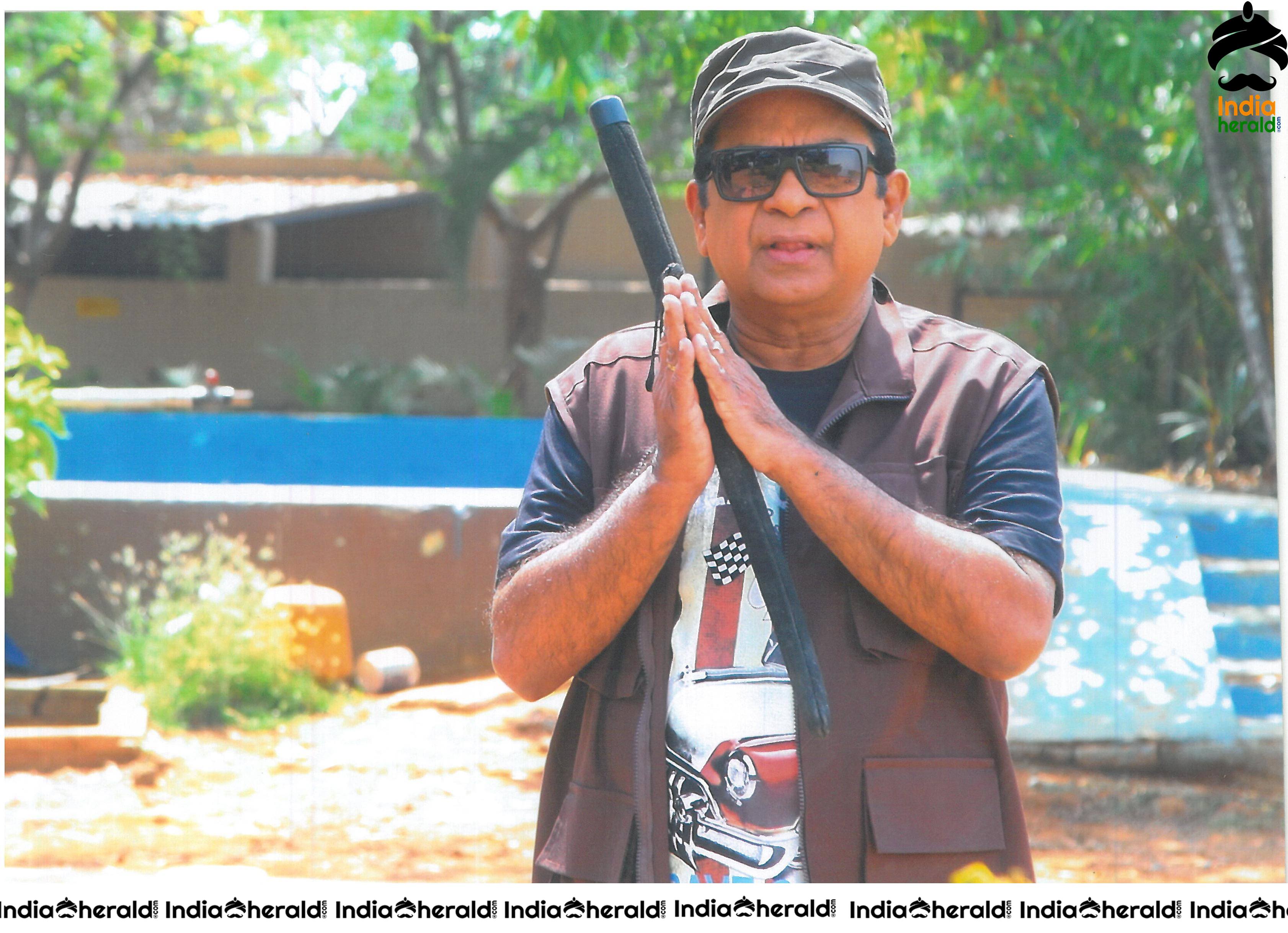 Comedy Actor Brahmanandam Stills from Namaste Nestama