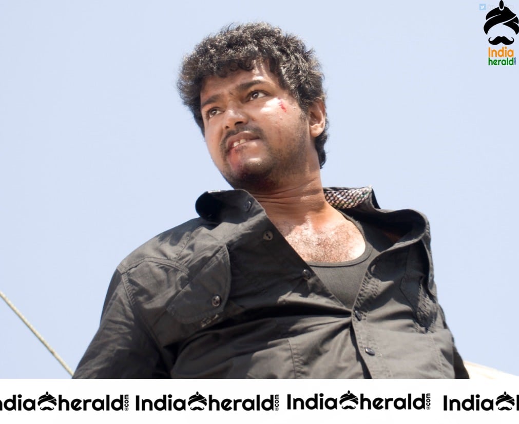 INDIA HERALD EXCLUSIVE Actor Vijay Unseen Photos Collection Set 3