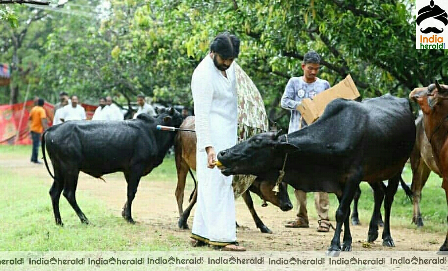 Janasena Cheif Pawan Kalyan Vana Rakshana Campaign Launch Stills