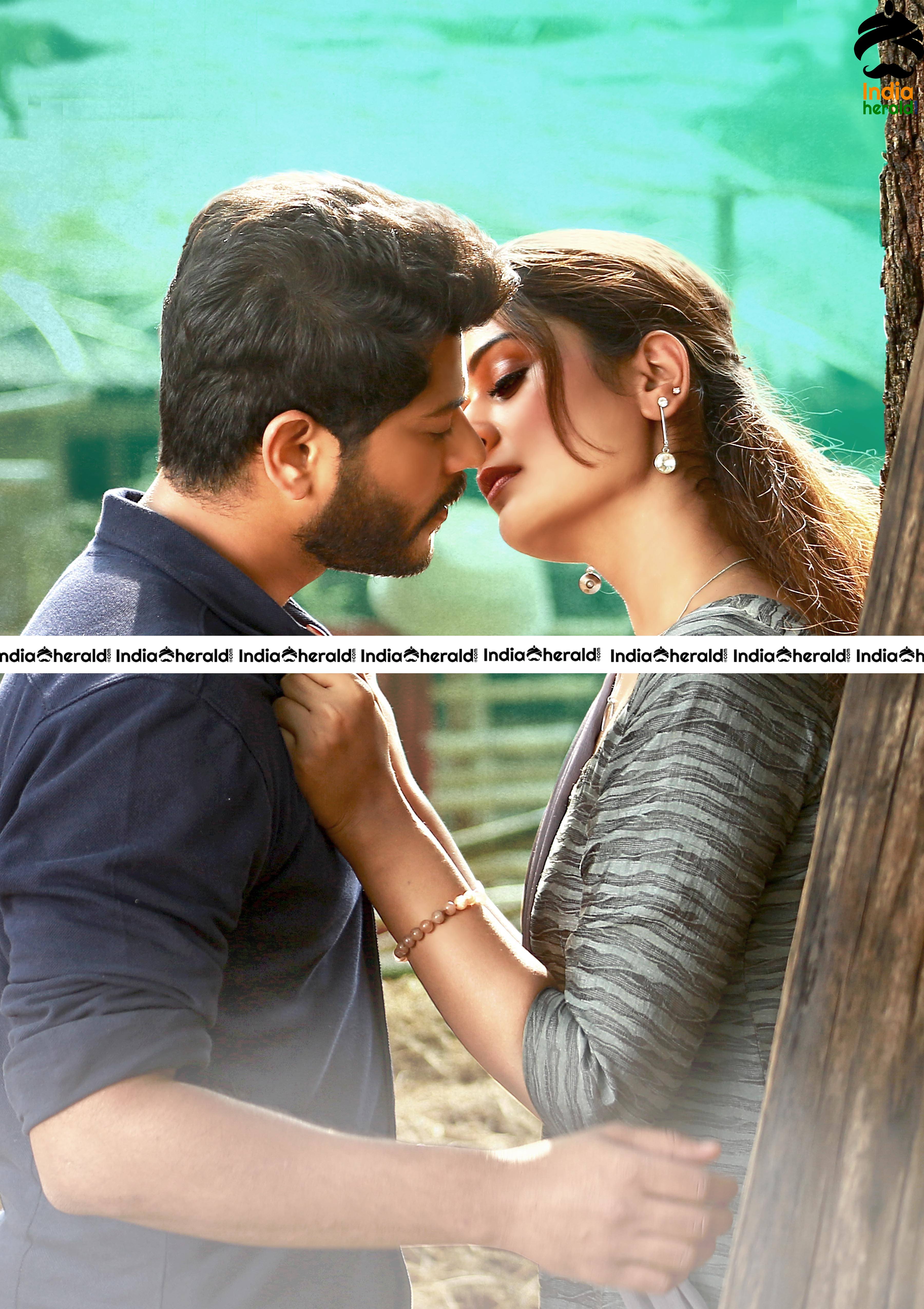 Payal Rajput RDX Love Release Date Posters And HD Stills