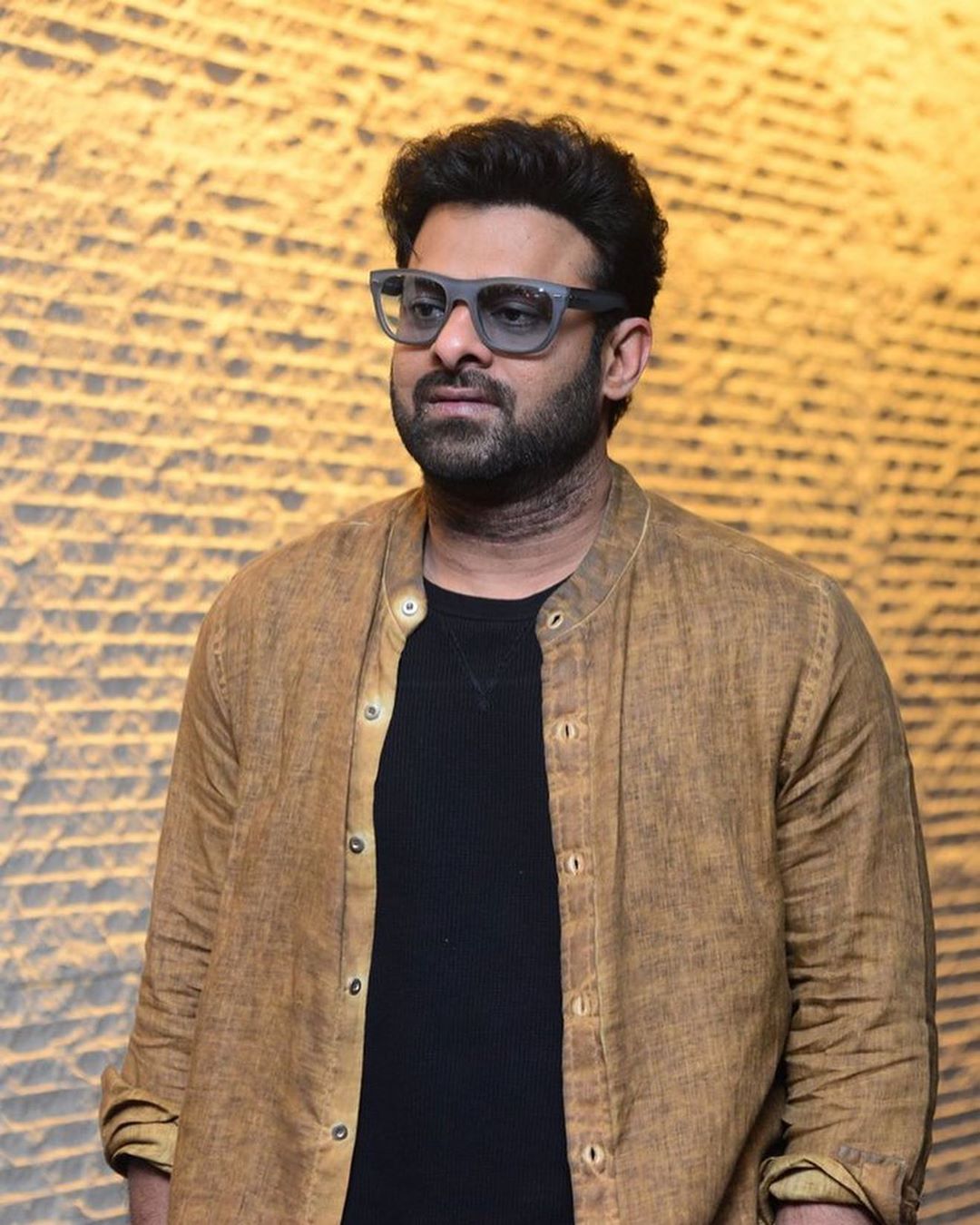 Prabhas Saaho Success Meet Stills