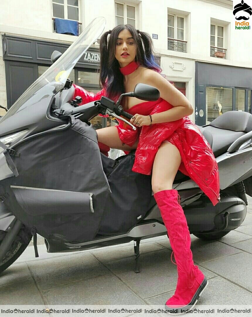Adah sharma Hot Red Photoshoot Stills