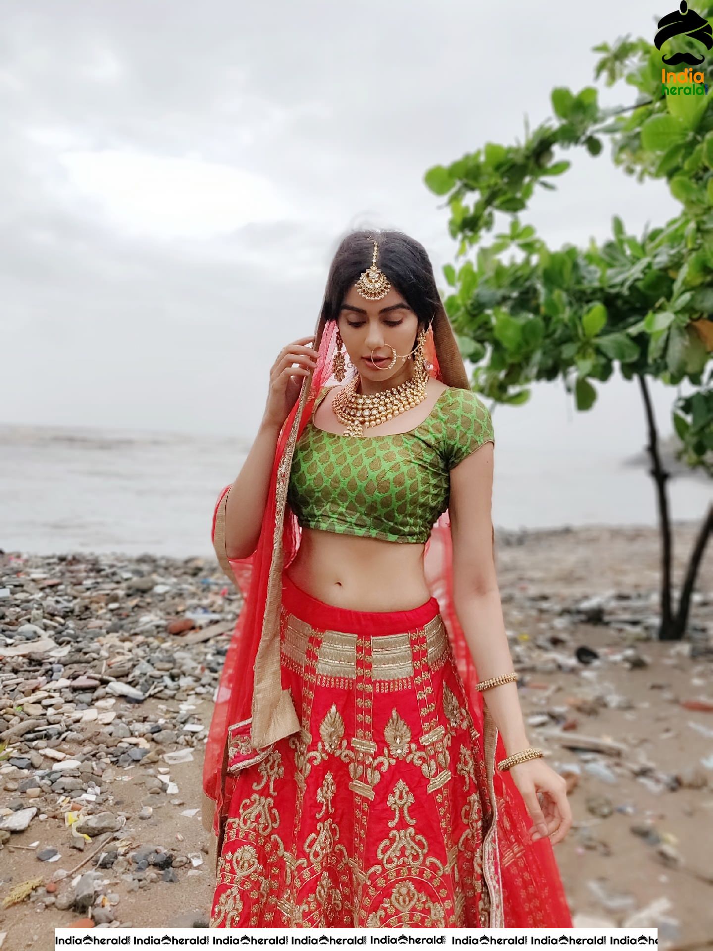 Adah Sharma Is Looking For A Groom