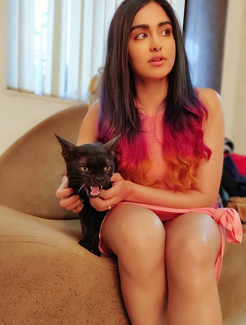 Adah Sharma Latest Colourfull Stills