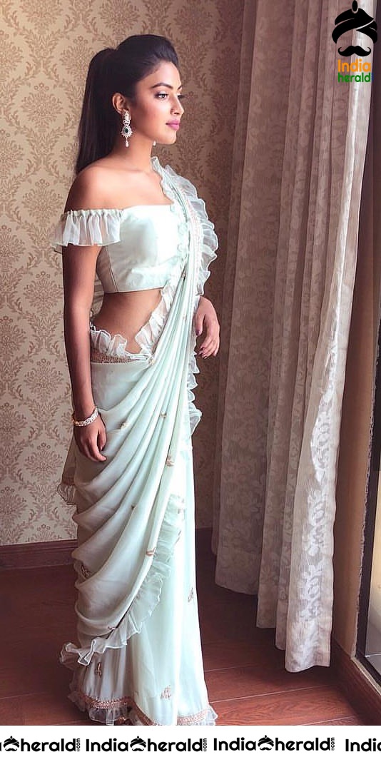 Amala Paul Hot Hip and Waist Curves Photos in Saree Photoshoot