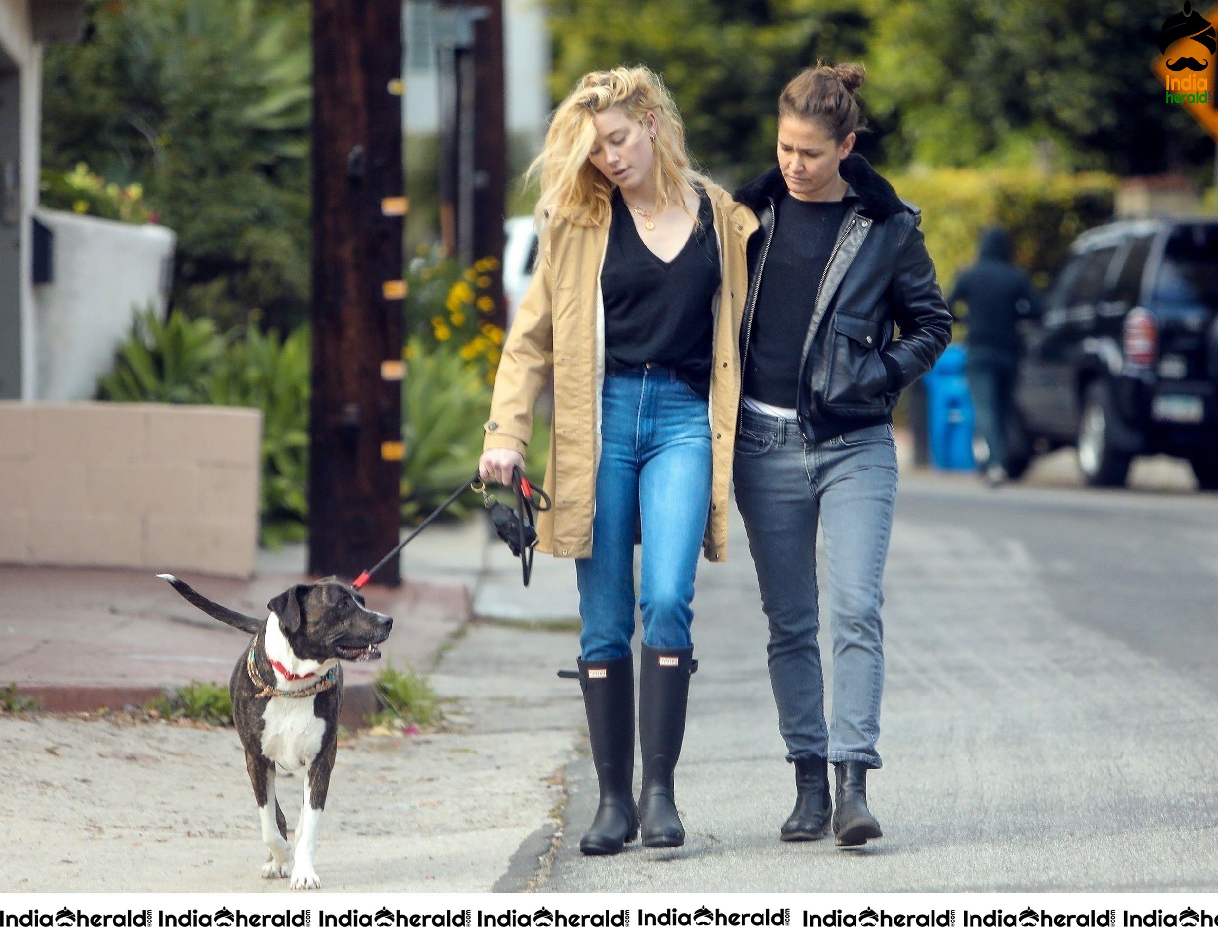Amber Heard takes a break from isolation to walk Birdie with girlfriend Bianca Butti in LA