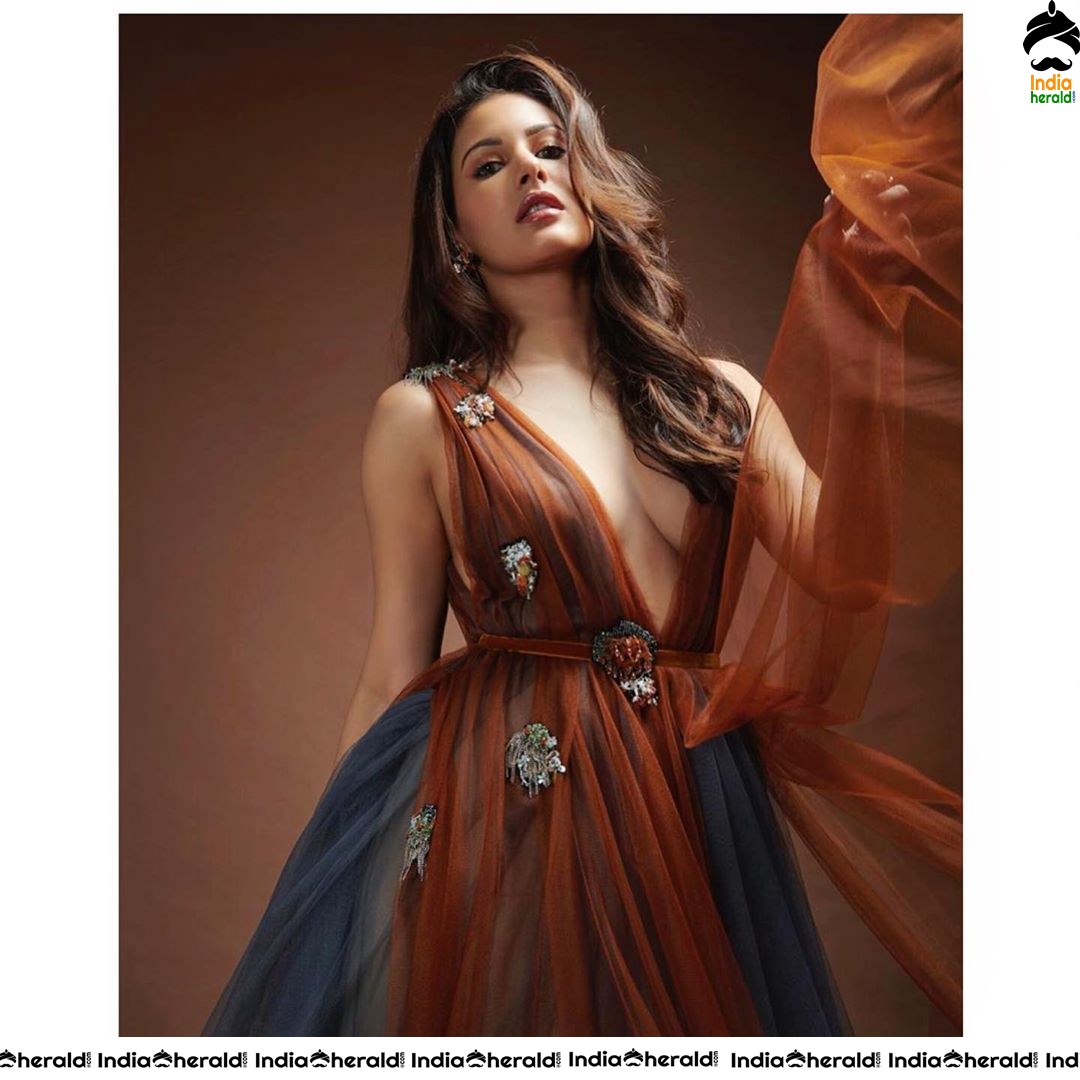 Amyra Dastur Hot Tempting and Exposing Photos Collection Set 7