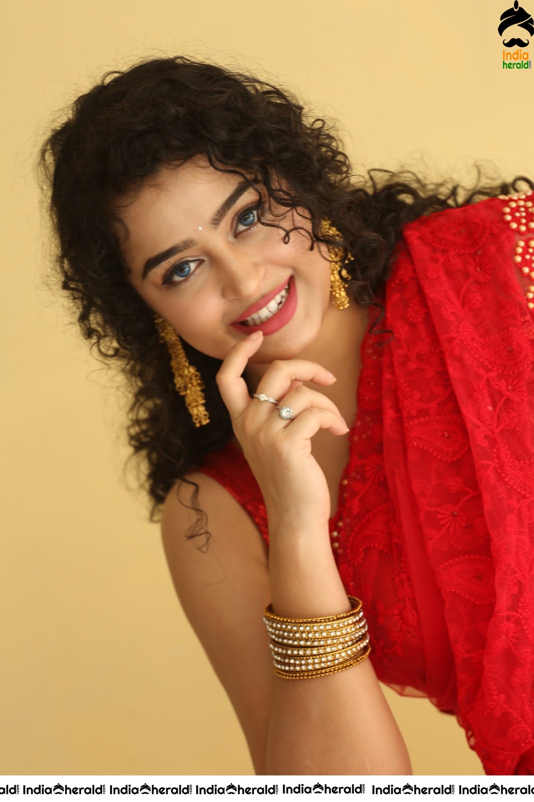 Ankeetha exposes her Hot Midriff and Navel in Saree during a Sexy Photoshoot