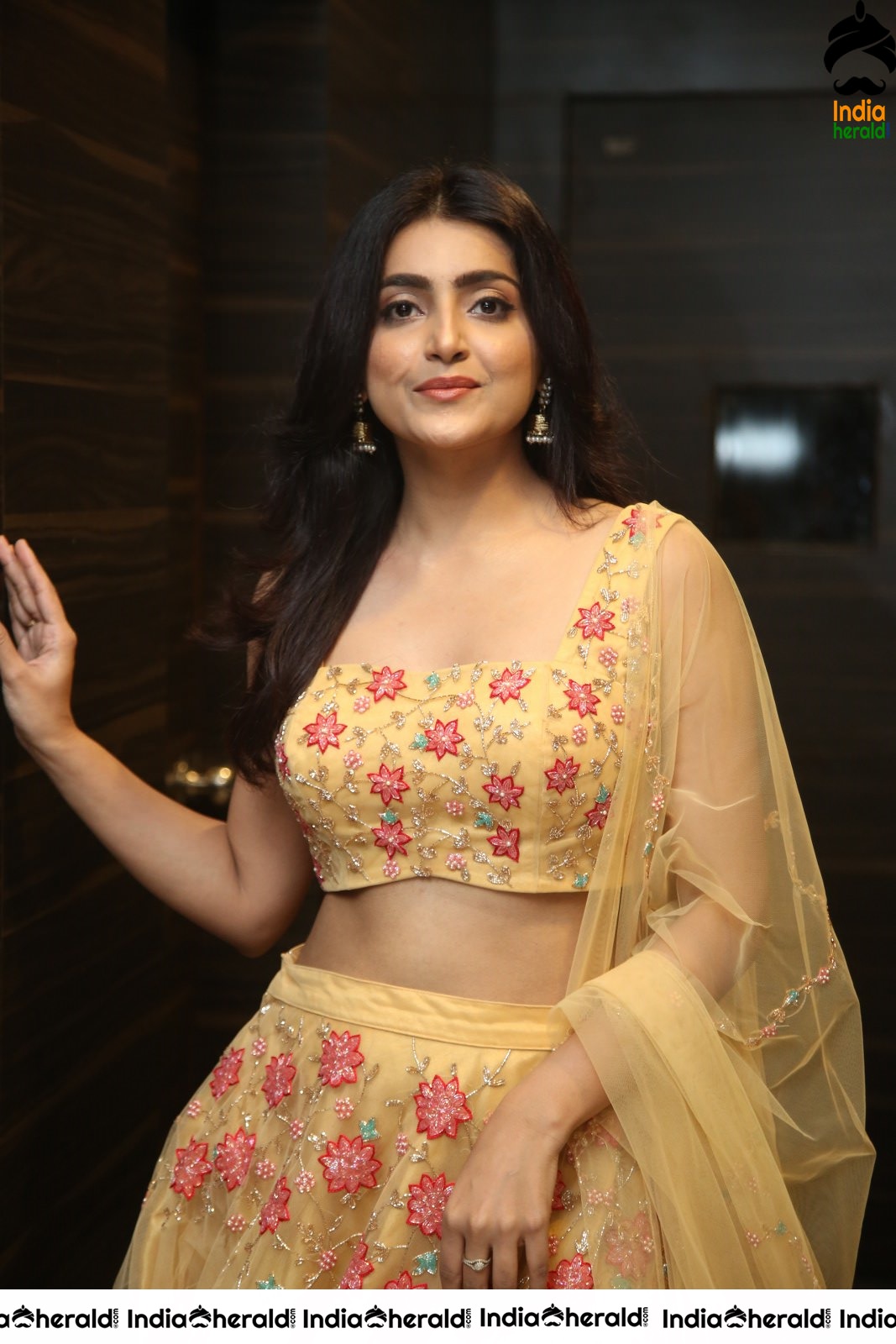 Avantika Mishra Shows her Teasing Waistline in Choli during Photoshoot Set 2