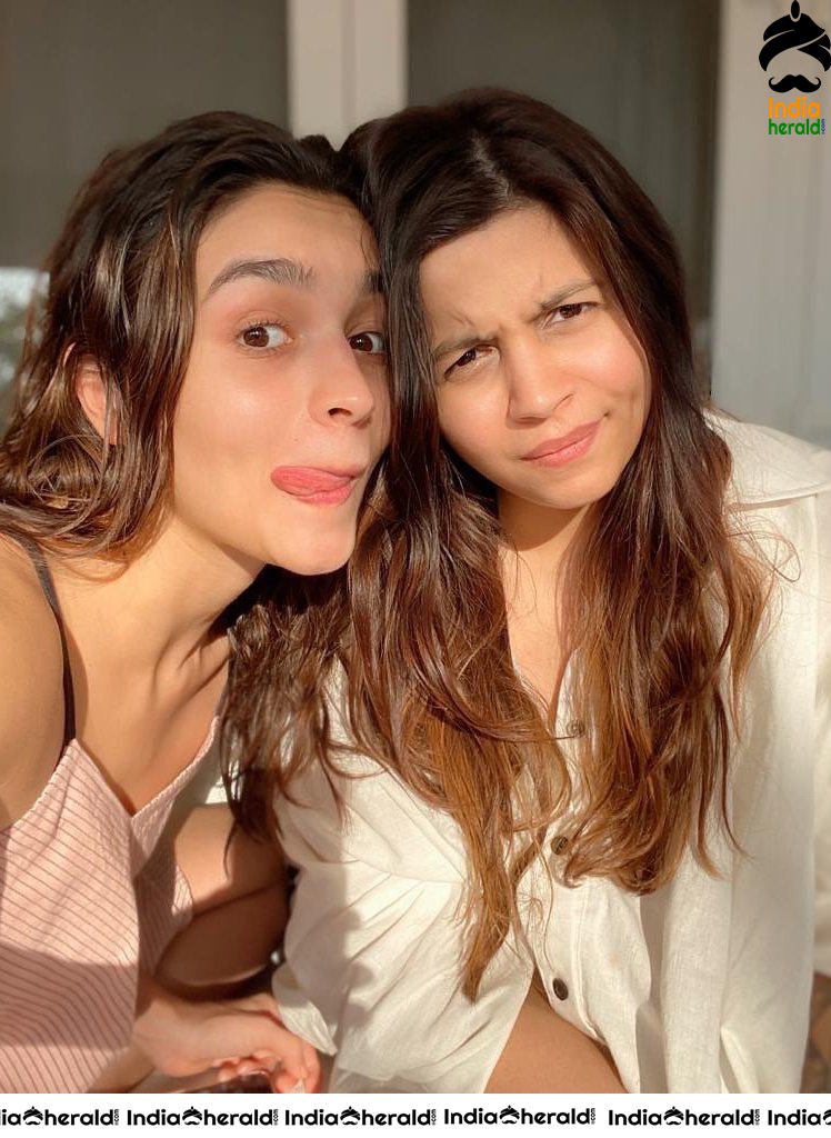 Beauteous Alia Bhatt Hot Photos Collection Set 1