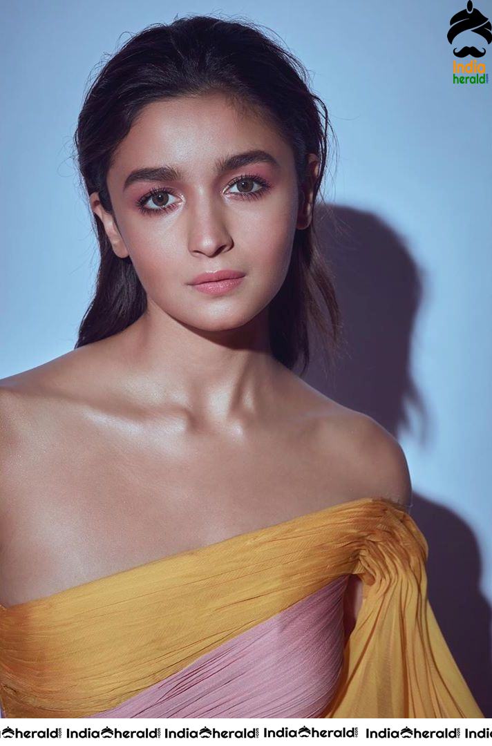 Beauteous Alia Bhatt Hot Photos Collection Set 2
