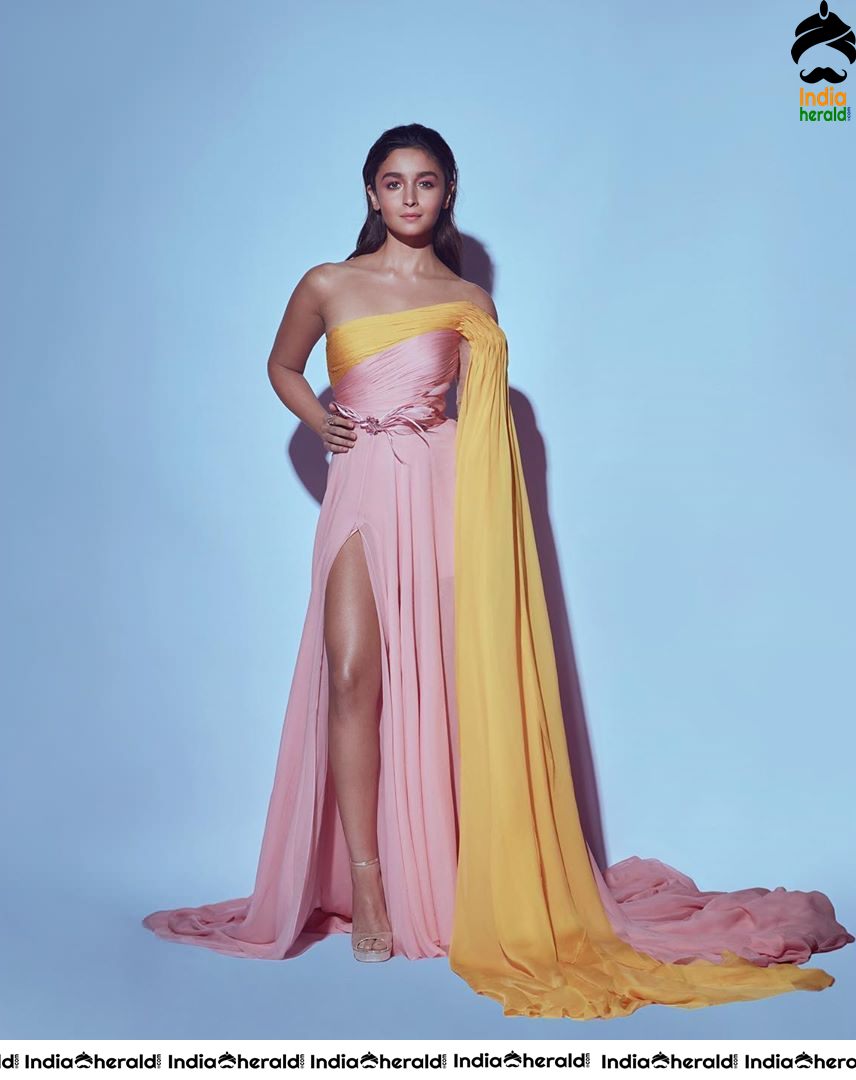 Beauteous Alia Bhatt Hot Photos Collection Set 2