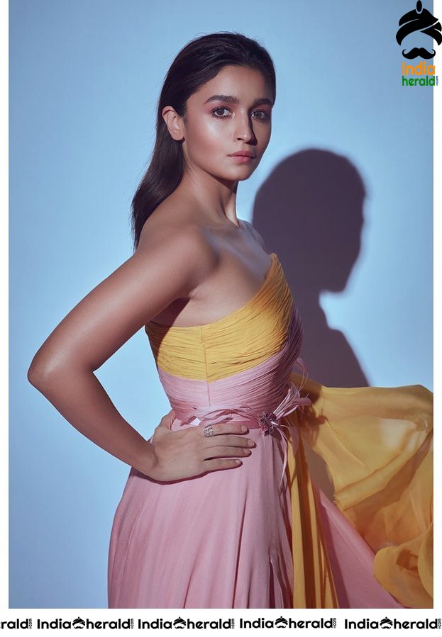Beauteous Alia Bhatt Hot Photos Collection Set 2