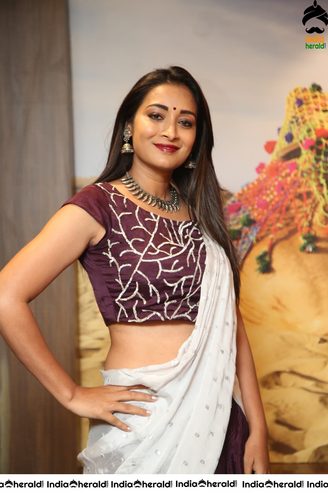 Bhanu Sri Latest Hot Stills Set 2