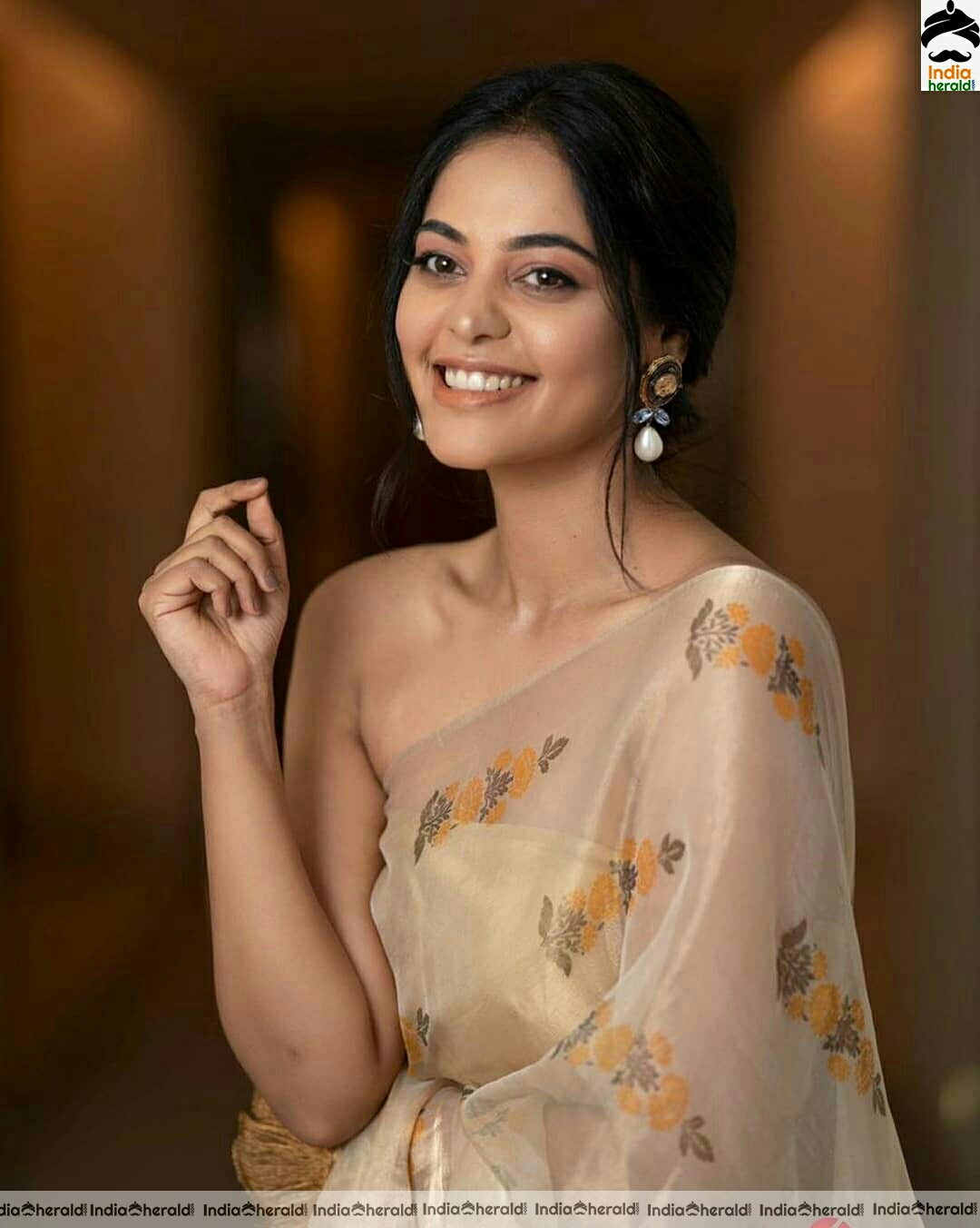 Bindu Madhavi hot photos in Transparent saree
