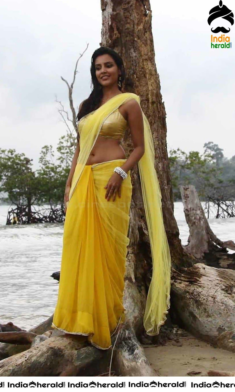 Brahmin beauty Priya Anand Exposing her Midriff and Navel in Saree