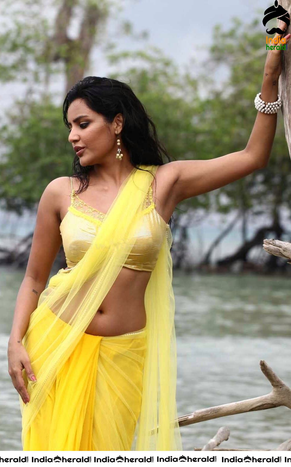 Brahmin beauty Priya Anand Exposing her Midriff and Navel in Saree