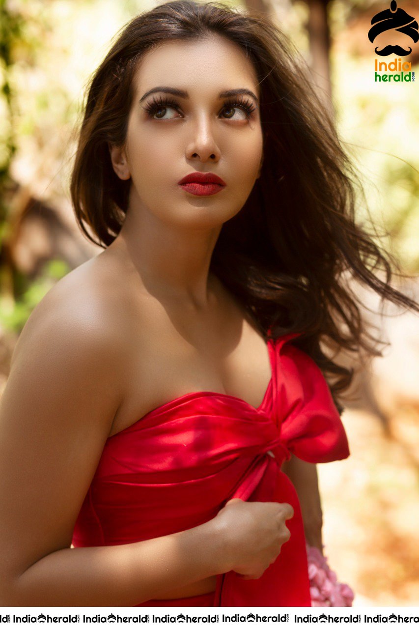 Catherine Tresa Hot In Red Brassiere Photos