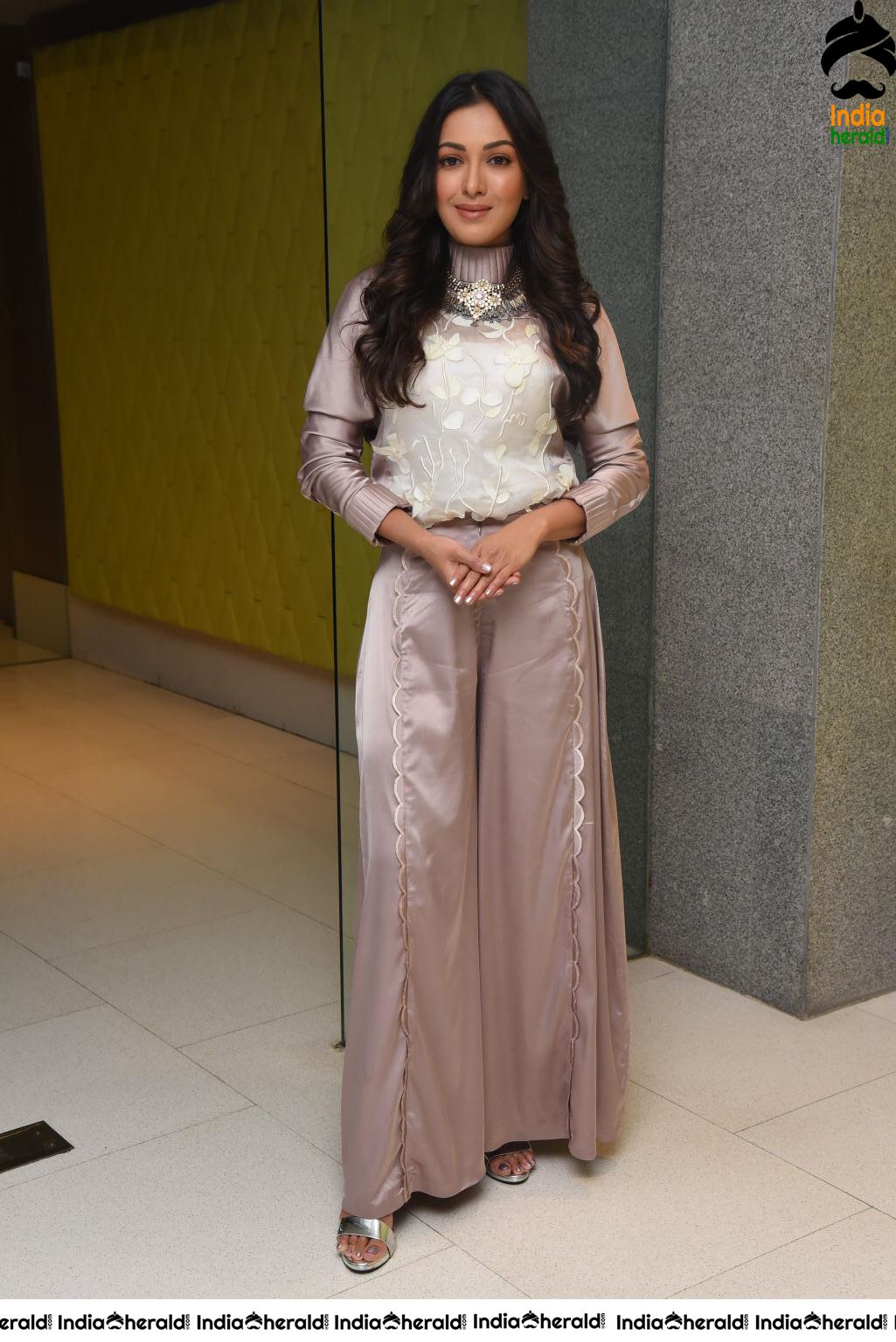 Catherine Tresa Looking Cute during this Press Meet Set 1
