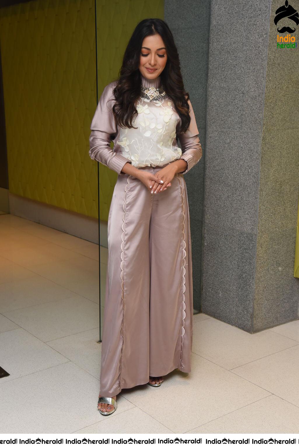 Catherine Tresa Looking Cute during this Press Meet Set 1