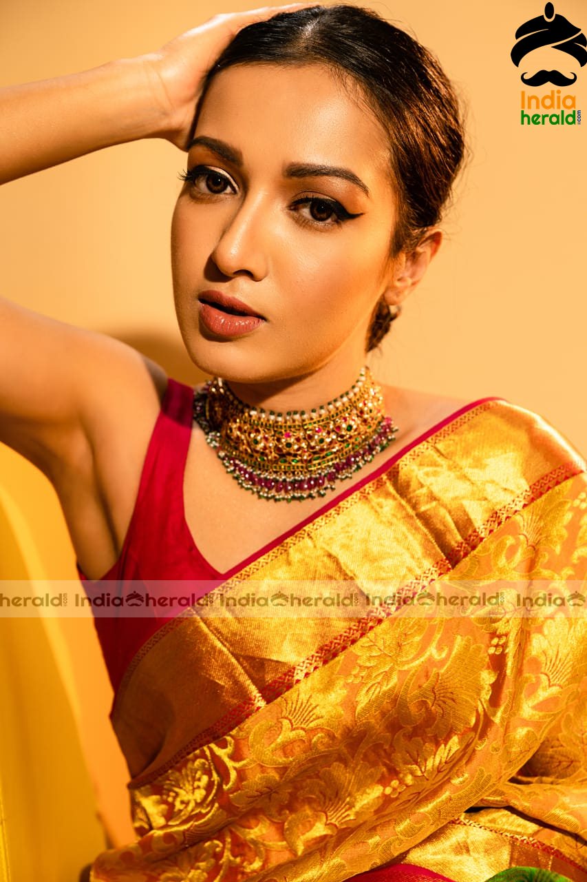 Catherine Tresa Looking Sexy and Gorgeous in Sleeveless Blouse and Saree