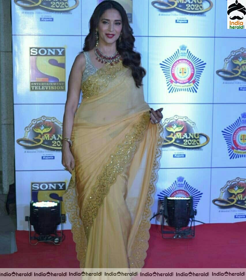 Celebs At Umang 2020 The Red Carpet Of Mumbai Police Show Set 4