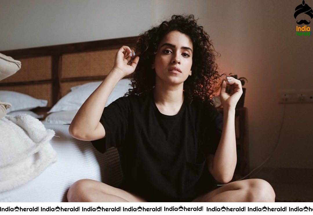 Curly Haired Beauty Sanya Malhotra Latest Clicks