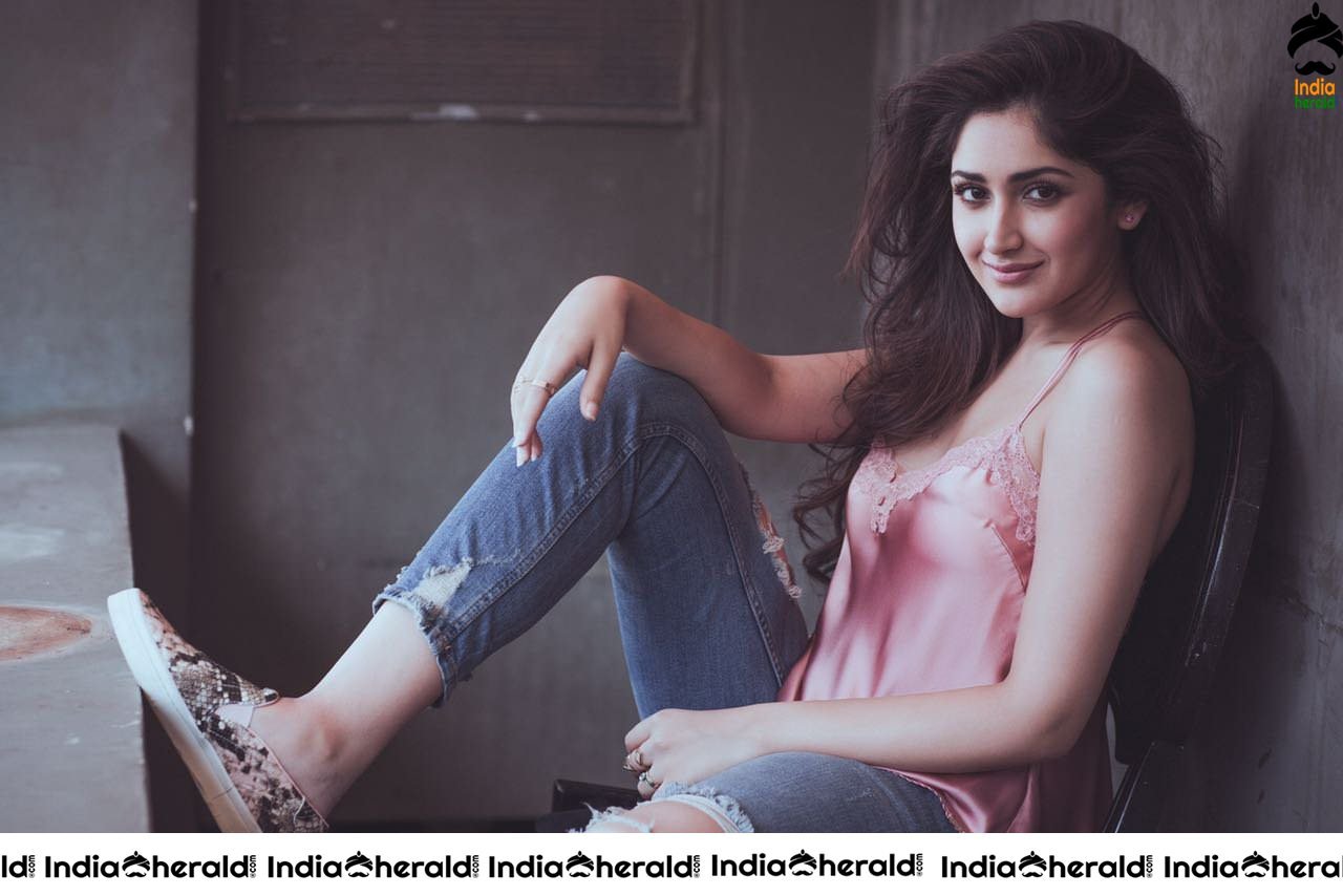 Cute Hot and Gorgeous Photos Collection of Sayyeshaa Saigal Set 2