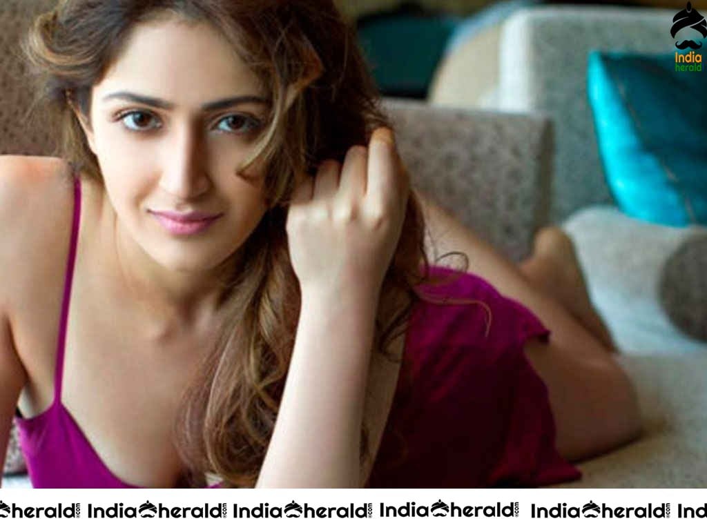 Cute Hot and Gorgeous Photos Collection of Sayyeshaa Saigal Set 2