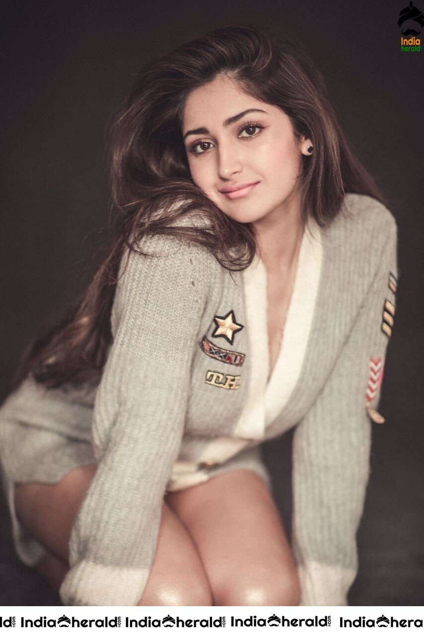 Cute Hot and Gorgeous Photos Collection of Sayyeshaa Saigal Set 2