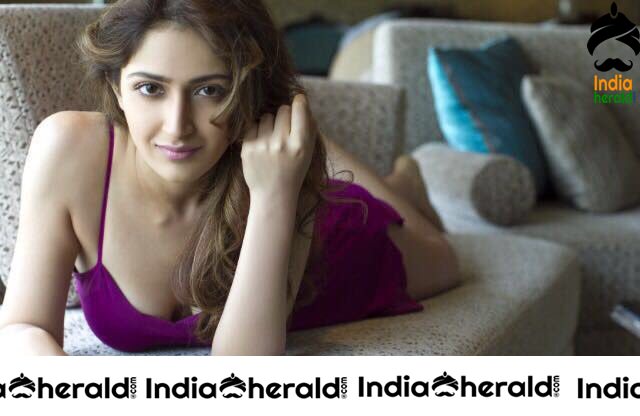 Cute Hot and Gorgeous Photos Collection of Sayyeshaa Saigal Set 3