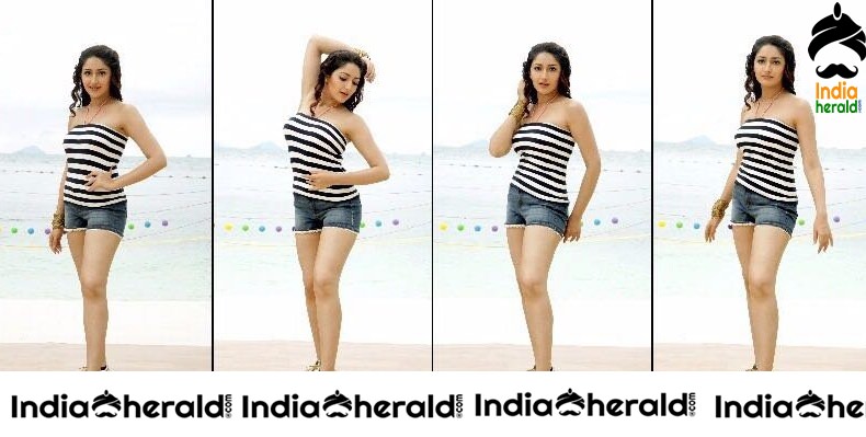 Cute Hot and Gorgeous Photos Collection of Sayyeshaa Saigal Set 3